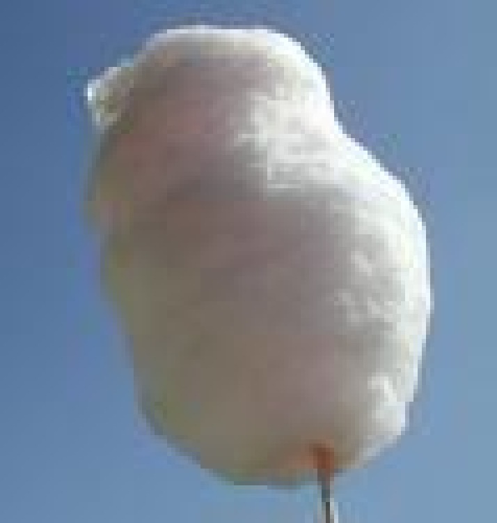 1Cotton Candy Boo Blue 30-50 servings